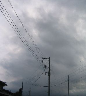 a1c86e8f.jpg