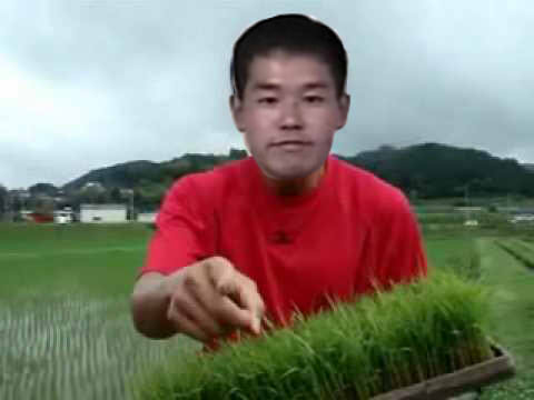 お米食べろ先輩