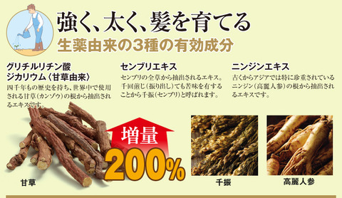 柑気楼 お試し2