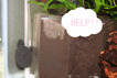 BlogPaint