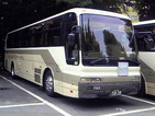 74842995.jpg