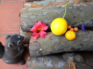 IMG_1135