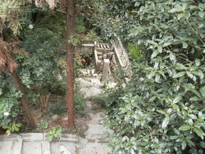 P9200352