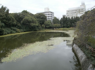 P9200311