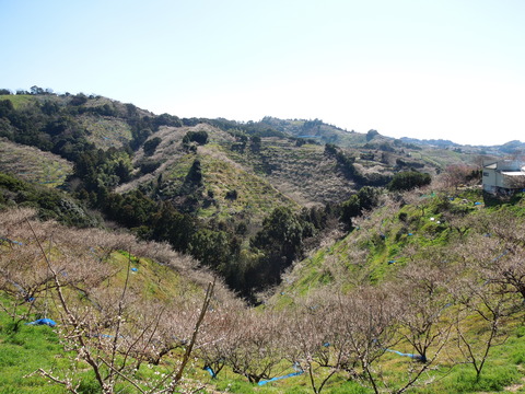 DSCN3962