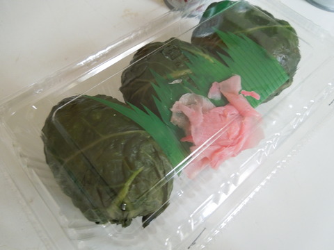DSCN3974