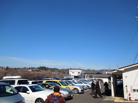 DSCN3931