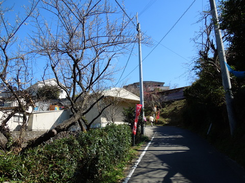 DSCN3934