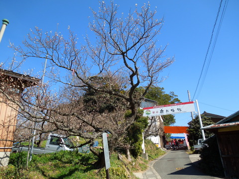 DSCN3938