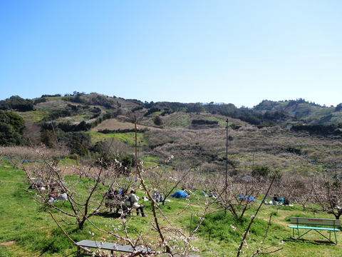 DSCN3942
