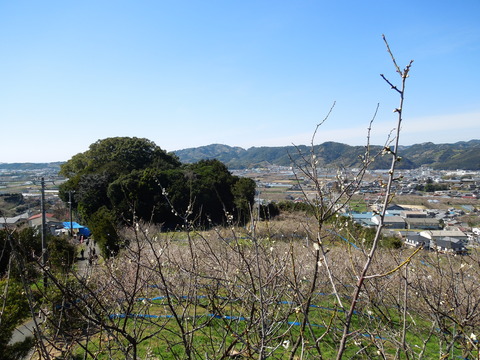 DSCN3947