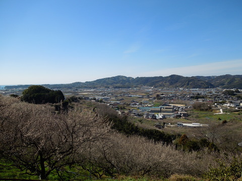 DSCN3964