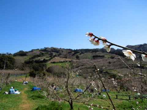 DSCN3968