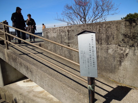 DSCN3946