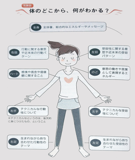 身体のどこから何がわかる