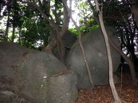 kyoseki02