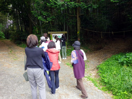 kyoseki04