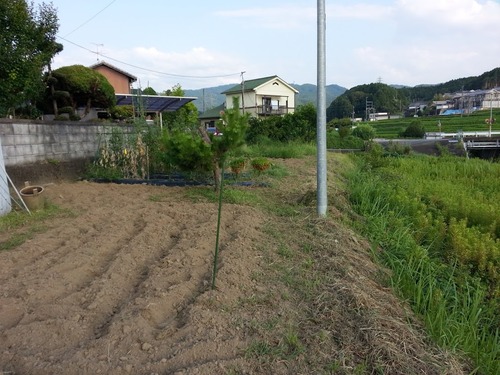 20150815_165335