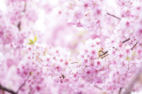 D0517D5E-0A00-436B-B500-812F3749312A