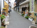 6月16日癒しの小路