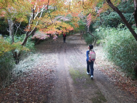15otokiti_031