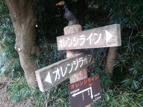 15otokiti_029