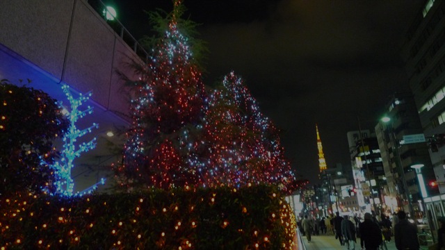 2008_1212_01