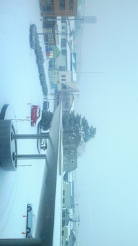 7a3670ab.jpg