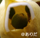 0a2a0180.jpg