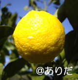 l3