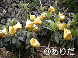 653e5308.jpg