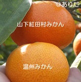 89bbf912.jpg
