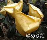 b14ad6c3.jpg