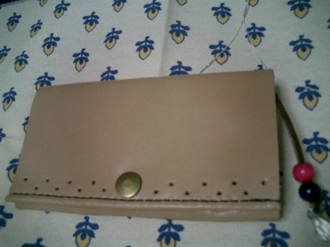 CIMG1283t