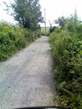 ÍñK3300033.JPG