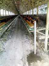 ÍñK3300034.JPG