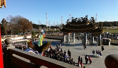IMAG0591