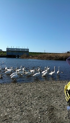 IMAG0557