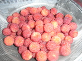 7916022a.jpg