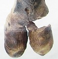 e851863d.jpg