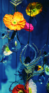 blog4