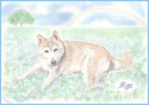 リアル