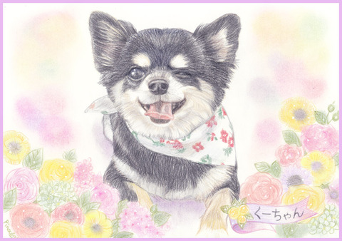 くーちゃん