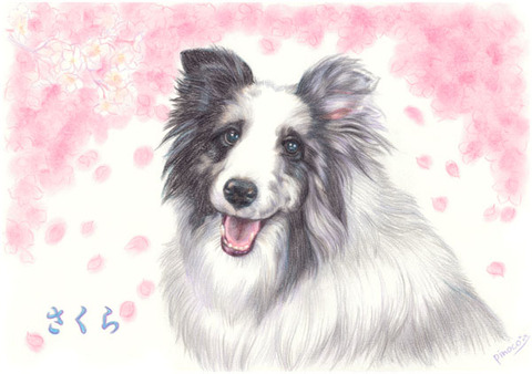 石井さくらちゃん