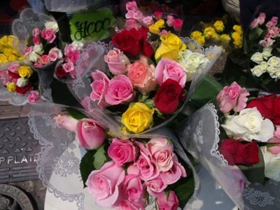 DSCF2518