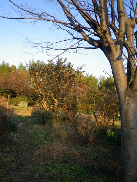 IMGP0960