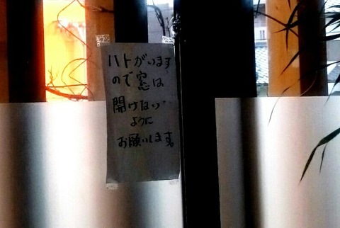 _20190126_213312