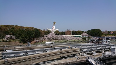 2018 �������ݥ��ƥ�