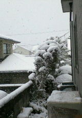e3f027e6.jpg