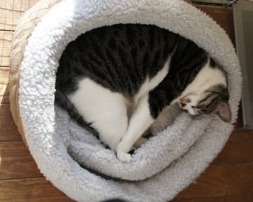 maru
